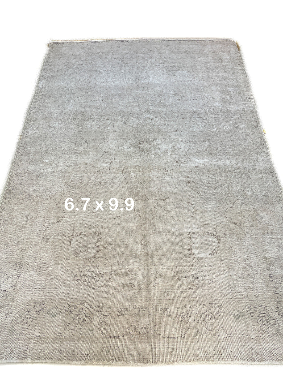 Pakistani Hand-Knotted Area Rug