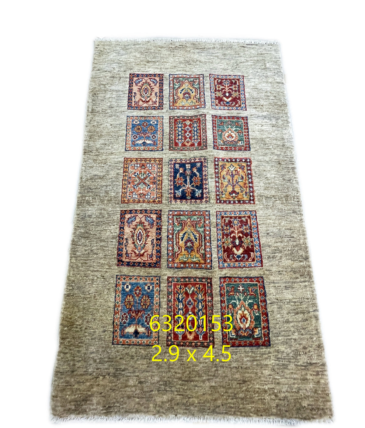 Pakistani Hand-Knotted Bakhtiari